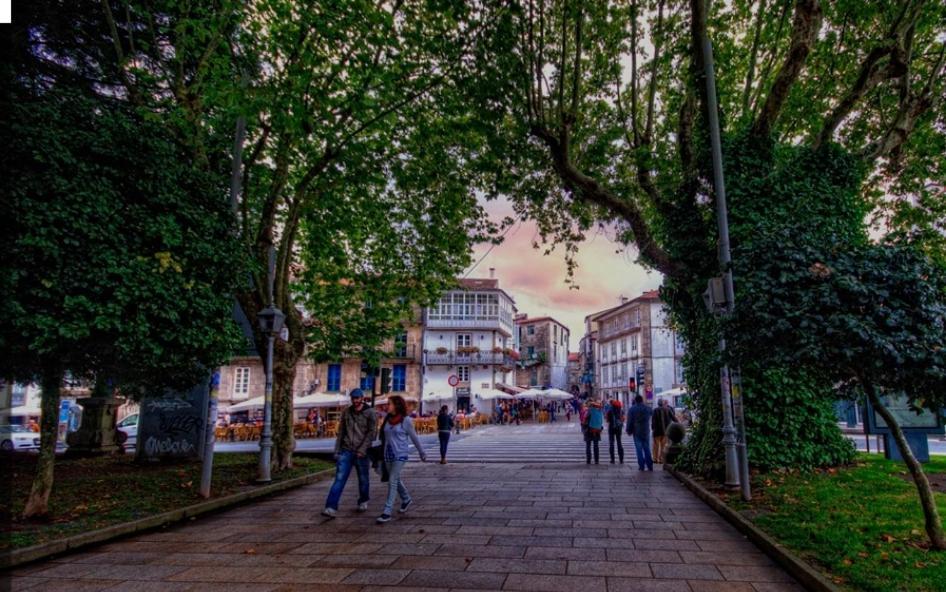 Апартаменты "Porta Faxeira" Сантьяго-де-Компостела Номер фото